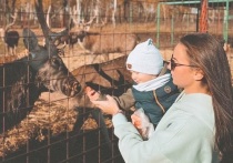 Сотрудники лесной охраны Ступинского филиала “Мособллес” отправили угощение в контактный зоопарк “Горки” в Коломне