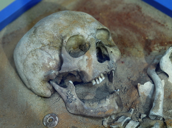 Под полом квартиры в Улан-Удэ нашли подозрительные кости