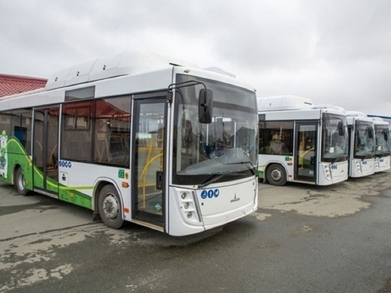 Автобусы в Салехарде будут бесплатно возить детей мобилизованных