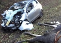 Смертельная авария произошла в Чеховском округе возле села Шарапова