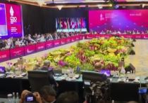 На саммите «Большой двадцатки», который пройдет в Индонезии, лидеры входящих в G20 государств собираются выпустить заявление против применения или угроз применения ядерного оружия