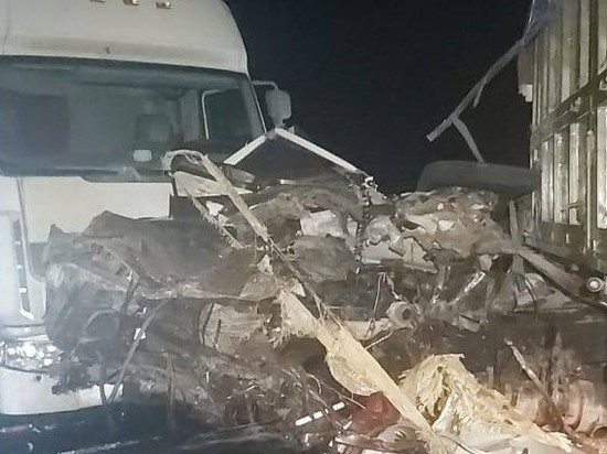 В ДТП на трассе Краснодар – Ейск погиб человек
