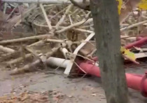 В Сети появилось видео подорванной телевышки в Херсоне, рухнувшей в городском парке