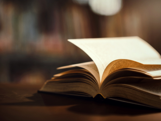 Новгородцам предложили поделиться книгами с заключенными