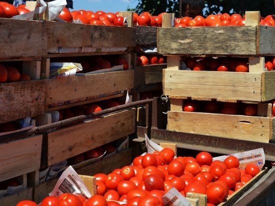 На астраханских рынках продают остатки помидоров, собранные на региональных полях