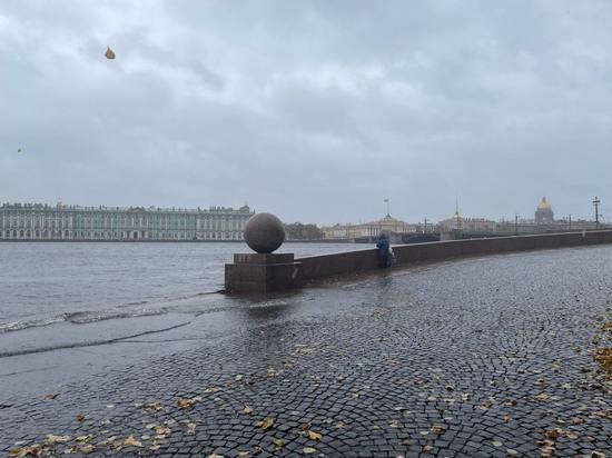 Уровень воды в Неве поднялся до близких к наводнению отметок