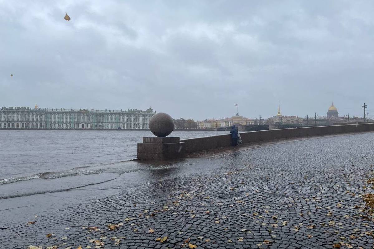 Воздух петербург. Набережная реки Нева Санкт-Петербург. Васильевский остров Санкт-Петербург Нева уровень. Наводнение в Санкт-Петербурге 1824. Стрелку Васильевского острова в Санкт Петербурге затопило.