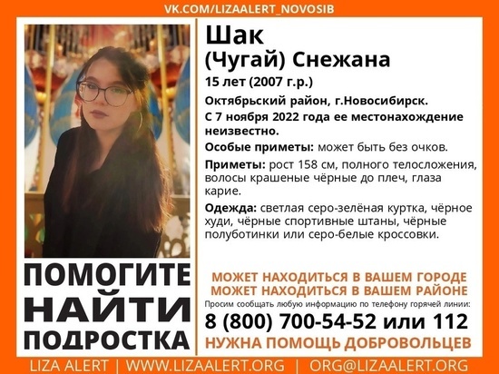 В Новосибирске разыскивают пропавшую 7 ноября 15-летнюю девочку