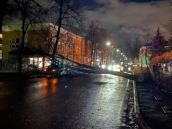 В Ярославле сильный ветер устроил настоящий «лесоповал»