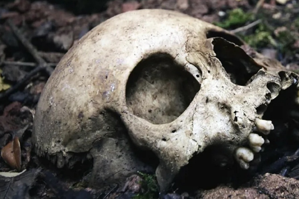 В Ярославле на свалке токсичных отходов нашли череп