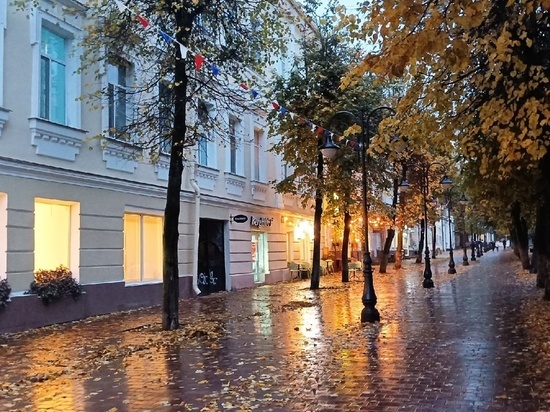 Синоптики рассказали, какая погода будет в Смоленске 14 ноября