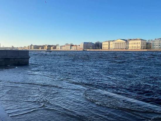 В Петербурге похолодает до + 8 градусов 13 ноября