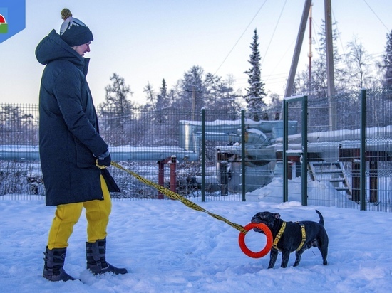 В Правохеттинском построили площадку для выгула собак