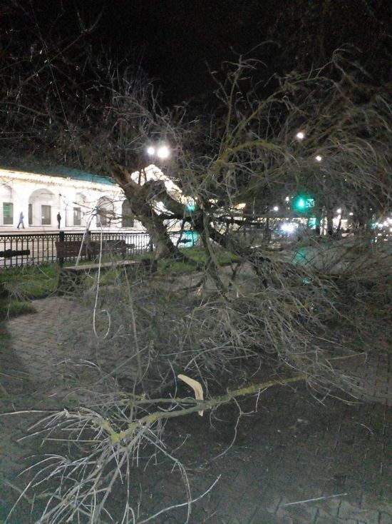 В Костроме ночной ураган добавил работы городским службам