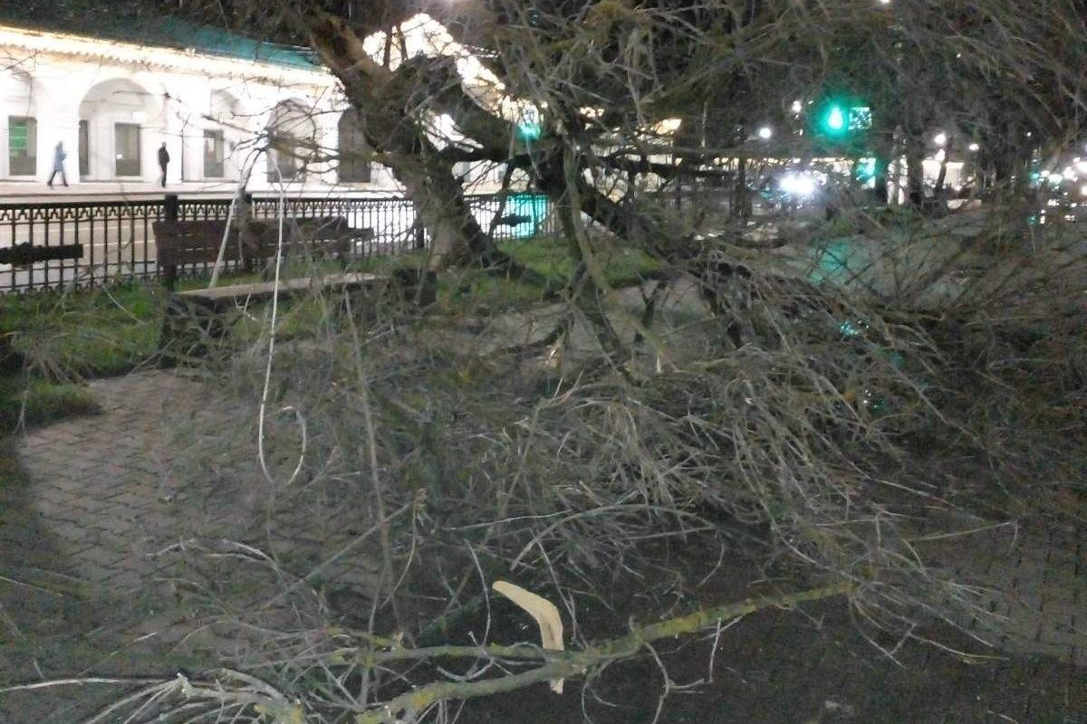 В Костроме ночной ураган добавил работы городским службам