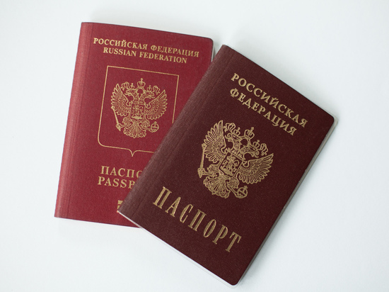 Госдума планирует оперативно принять поправки о лишении гражданства за нанесение вреда России