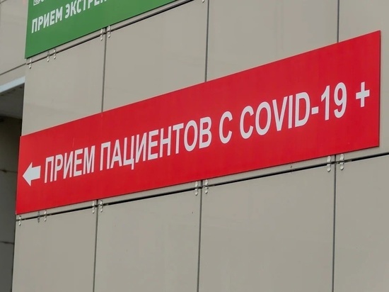 В Рязанской области выявили 30 случаев заражения COVID-19 за сутки
