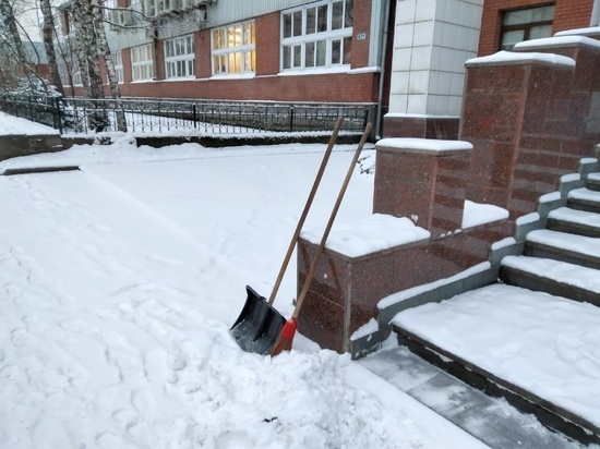 Мокрый снег и 0 градусов пообещали синоптики в Томске 14 ноября