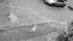 Сбежавшую из детского сада малышку в памперсе сняли на видео