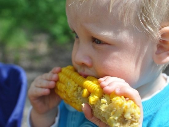 Зараженная ботулизмом кукуруза могла разъезжаться из Новосибирска по всей Сибири