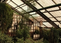 Кровли некоторых оранжерей Забайкальского ботанического сада нуждаются в срочном ремонте