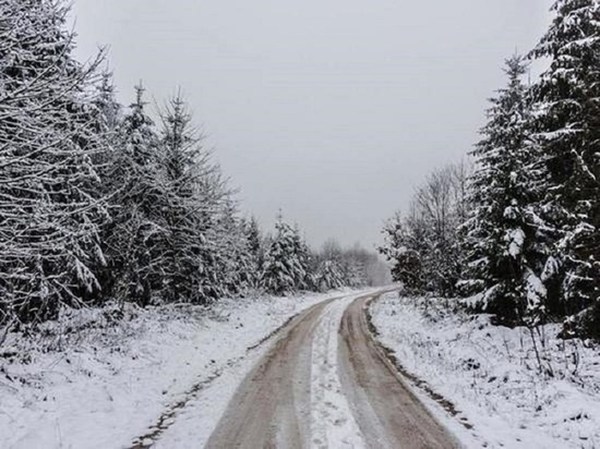 Штормовое предупреждение объявили на Алтае 14 ноября из-за снегопада и сильного ветра