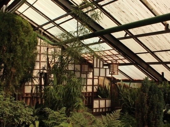 Срочный ремонт нужен крышам оранжерей Ботанического сада в Чите