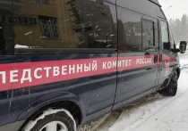 Следователи возбудили уголовное дело по факту четырехдневного отсутствия 10-летнего мальчика, который без вести пропал 11 ноября в городе Краснокаменске