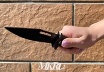 Жителя Читы подозревают в хищении кассового аппарата, который мужчина под угрозой ножа отобрал у сотрудницы магазина