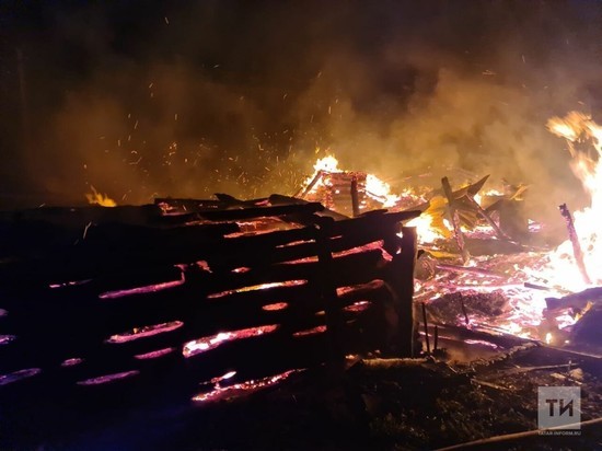 На пожаре в своем доме погибла жительница Татарстана