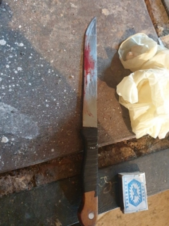 В Улан-Удэ женщина зарезала сожителя ножом и переночевала в доме с покойником