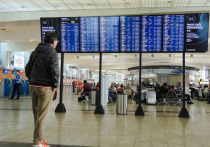 В московских аэропортах в понедельник, 14 ноября, задержали или отменили более 20 рейсов