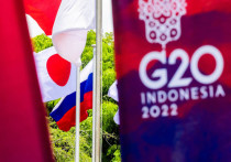 Принимающая саммит G20 Индонезия лоббирует Запад, чтобы смягчить критику в адрес России в итоговом коммюнике