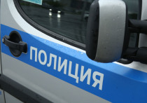 В Забайкальском крае нашли живым 10-летнего мальчика, который пропал 11 ноября в городе Краснокаменске