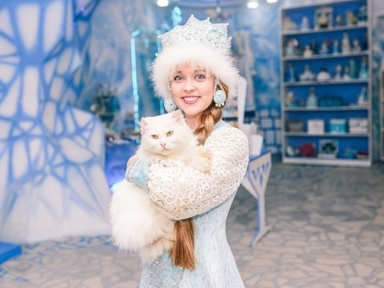 В Костроме появится еще одна резиденция Снегурочки — на сей раз в парке «Берендеевка»