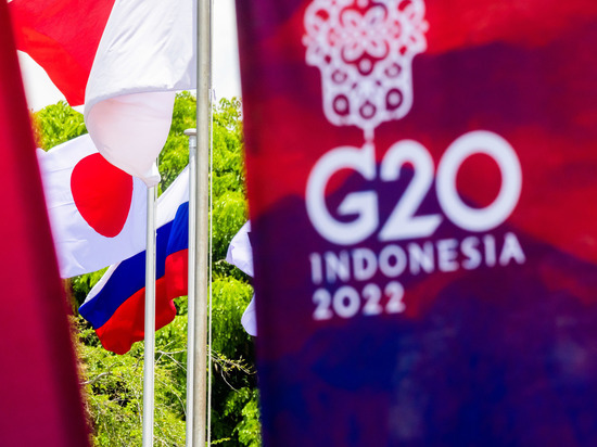 Москва допустила контакты по зерновой сделке на саммите G20
