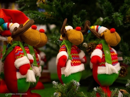 Жителям Петрозаводска предложили внести творческий вклад в украшение новогодней елки