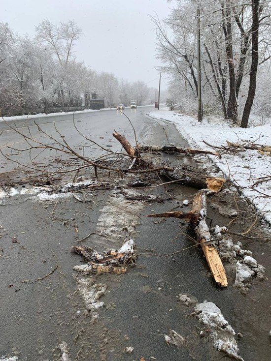 В Челябинске из-за снега падают деревья