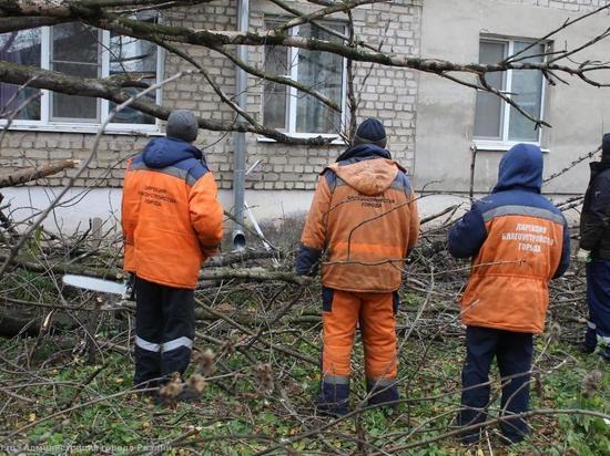 Власти Рязани рассказали о ликвидации последствий урагана