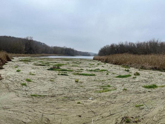 Экологи объяснили возникновение затора грязной воды на реке Тихая Сосна под Воронежем