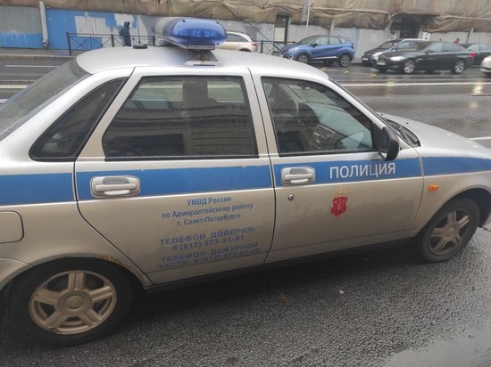 Школьник напал на мать и пытался убежать от полиции через окно квартиры на Большеохтинском