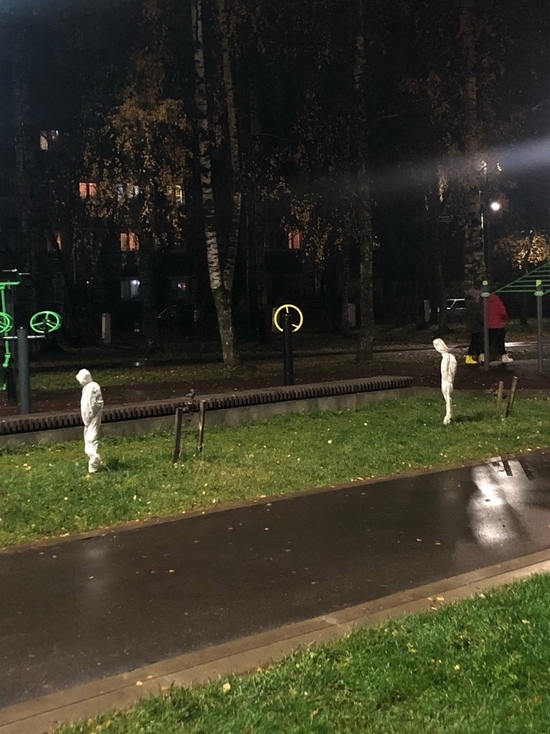 В Ярославле появились кусты-призраки