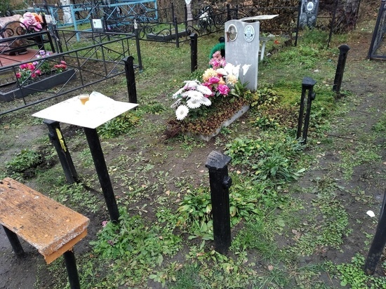 В Жердевке разграбили кладбище