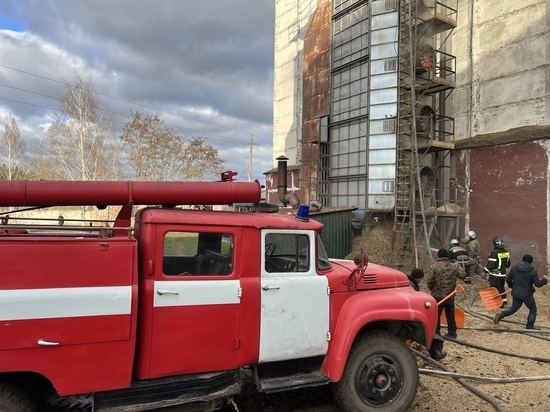 При пожаре на станции Шерекино в Курской области сгорели полтонны семян сои