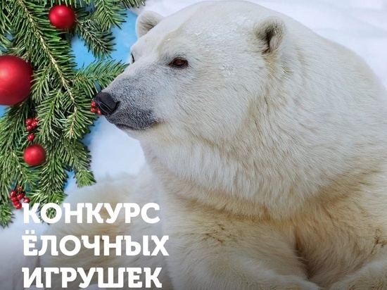 Конкурс самодельных новогодних игрушек объявил Новосибирский зоопарк