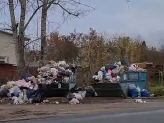На Орловщине «УК «Зелёная роща» в двух районах устроила мусорный хаос