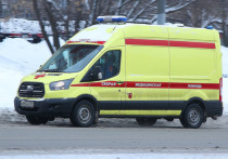В Санкт-Петербурге на территории поселка Ленсоветский обнаружили тела троих мужчин