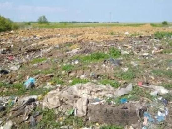 В Спасском районе Рязанской области ликвидировали несанкционированную свалку