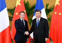 Президент Франции Эммануэль Макрон и председатель КНР Си Цзиньпин в ходе встречи на саммите G20 на индонезийском острове Бали высказались против применения ядерного оружия