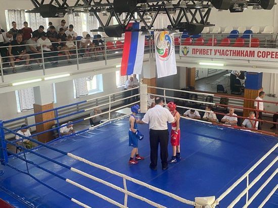 Международный чемпионат по боксу проходит на Ставрополье